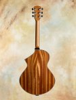 Maegenwells-2017-16archtop-03