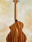 Maegenwells-2017-16archtop-07