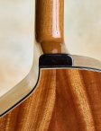 Maegenwells-2017-16archtop-11