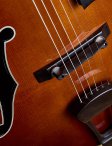 Maegenwells-2017-16archtop-14