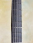 Maegenwells-2017-16archtop-18