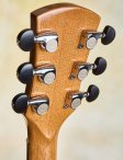 Maegenwells-2017-16archtop-21