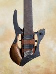 Ricktoone-8string-02