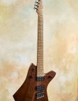 Ricktoone-customfanfret-05
