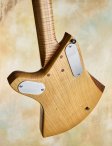 Ricktoone-customfanfret-09b