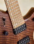 Ricktoone-customfanfret-14