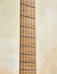 Ricktoone-customfanfret-18