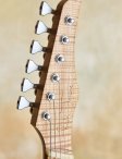 Ricktoone-customfanfret-20