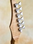 Ricktoone-customfanfret-21