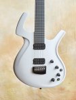 Parker-whitefly-02