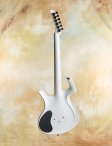 Parker-whitefly-03