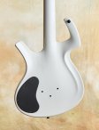 Parker-whitefly-04