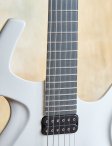 Parker-whitefly-09