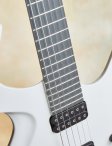 Parker-whitefly-12