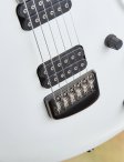 Parker-whitefly-13
