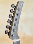 Parker-whitefly-18