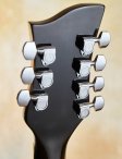 Gretsch-georgevaneps-7-string-19