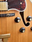 Gibson-1975blondel5-ces-11