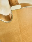 Gibson-1975blondel5-ces-15