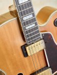 Gibson-1975blondel5-ces-17
