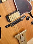 Gibson-1975blondel5-ces-18