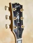 Gibson-1975blondel5-ces-25