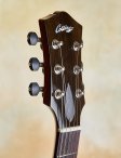 Collings-620carvedsemi-18