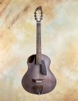 Fredkopo-kenparkertributearchtop-01