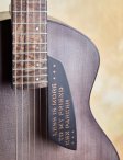 Fredkopo-kenparkertributearchtop-11