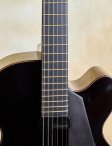 Beauregard-venn50thanniversarylegacyarchtop-09