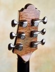 Beauregard-venn50thanniversarylegacyarchtop-21