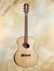 Artiger-aom-acoustic-01