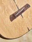 Artiger-aom-acoustic-16