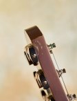 Moffa-acousticmithra-19