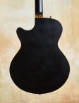 Collings-ladybird-04