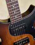 Collings-290dc-12