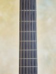 Collings-03-12-string-17