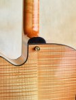 Tomribbecke-phoenix-11b