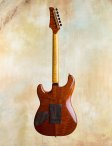 Ribbecke-customs-03