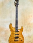 Ribbecke-customs-05