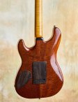 Ribbecke-customs-08