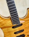 Ribbecke-customs-12
