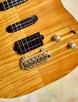 Ribbecke-customs-13