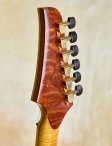 Ribbecke-customs-22