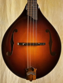 collings_mt2-02