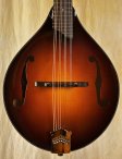 collings_mt2-02