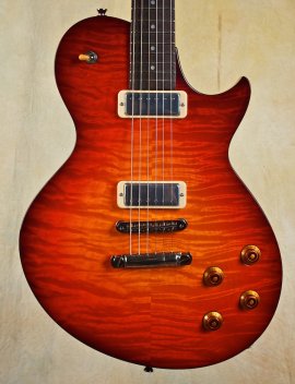 collings-360-02