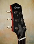 collings-360-13