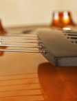 collings-eastside-lc-20