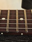 collings290doghair-25